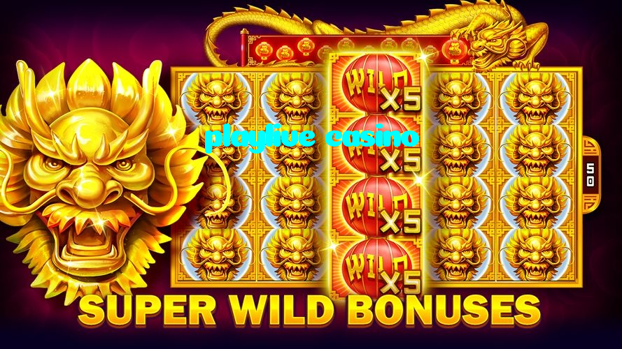 playlive casino